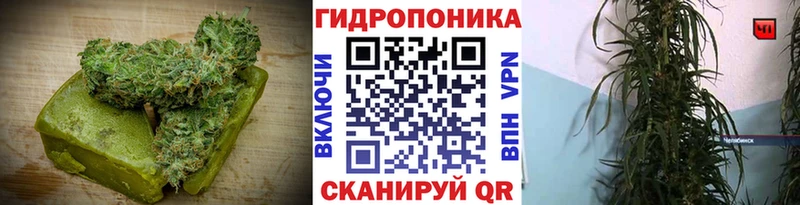 Купить закладки  Сатка  Еда ТГК конопля 