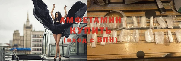 прущие грибы Карпинск