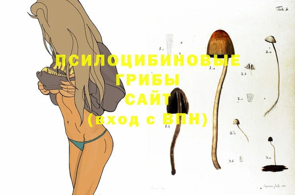 спайс Касимов