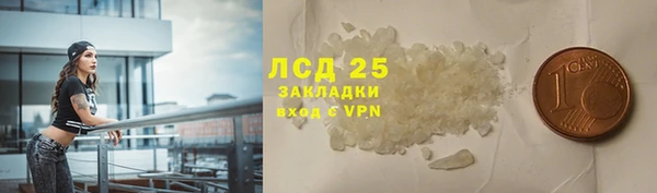 спайс Касимов