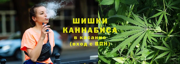 прущие грибы Карпинск