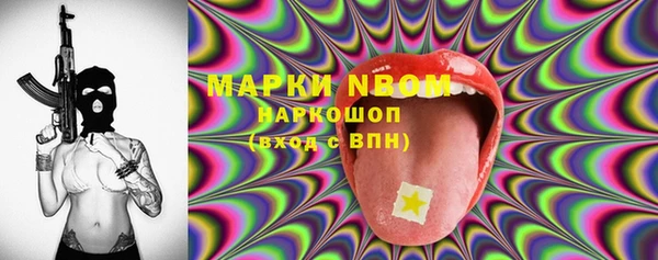 прущие грибы Карпинск