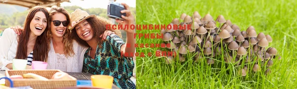 кокс Карталы