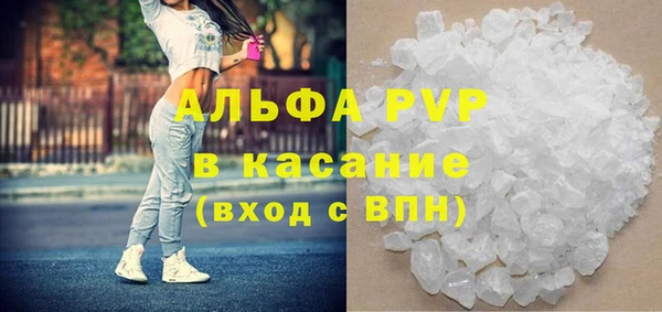 прущие грибы Карпинск